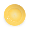 Basic_Platter_41cm_Yellow_1_.png - 3800px x 3800px (png)